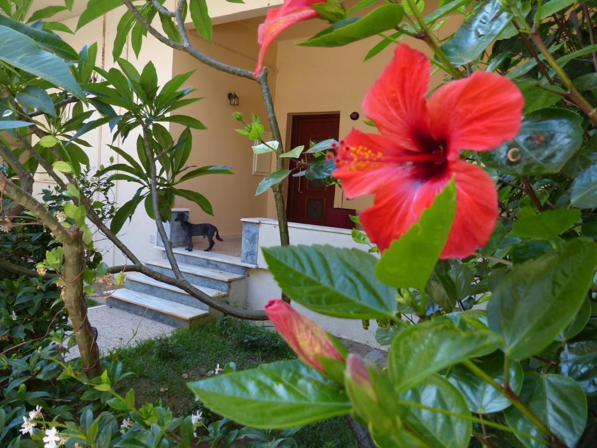 Leilighet Avgi Garden House Chania With Private Entrance Khania