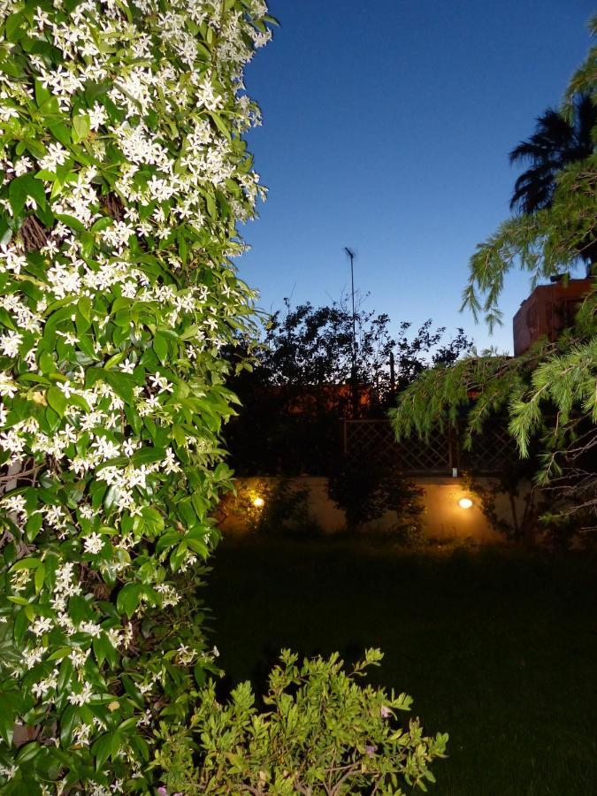 Leilighet Avgi Garden House Chania With Private Entrance