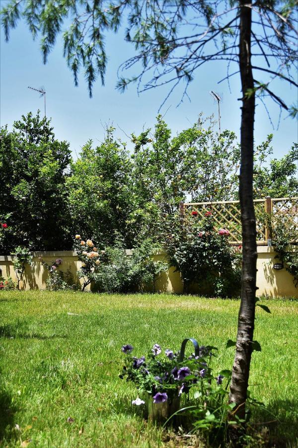Avgi Garden House Chania With Private Entrance Leilighet *
